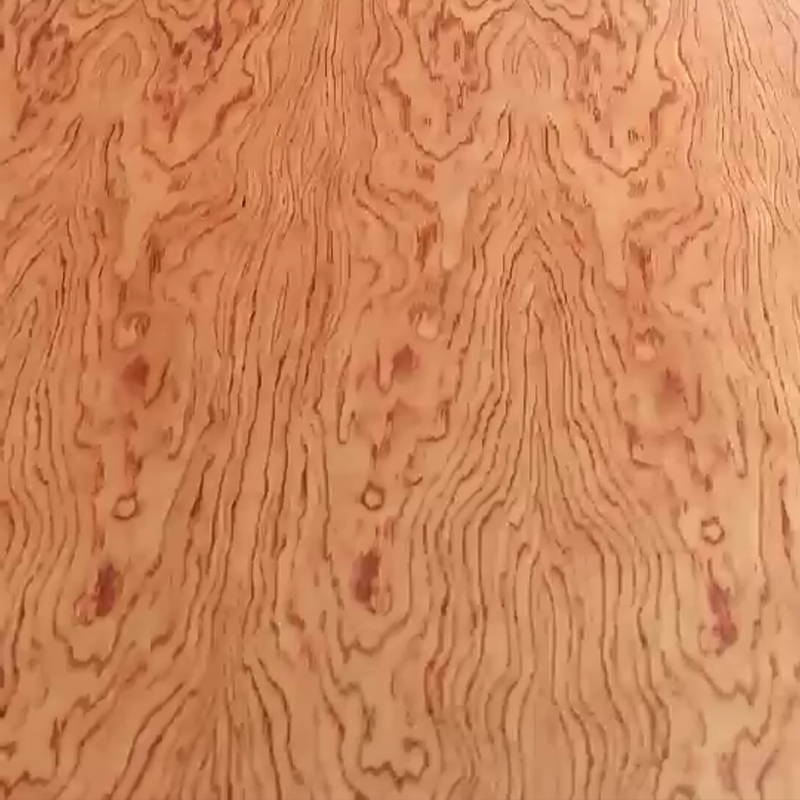 Padauk veneer face plywood