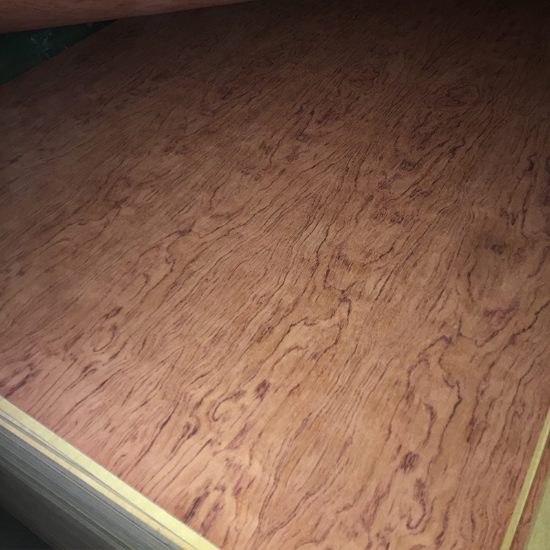 Padauk veneer face plywood