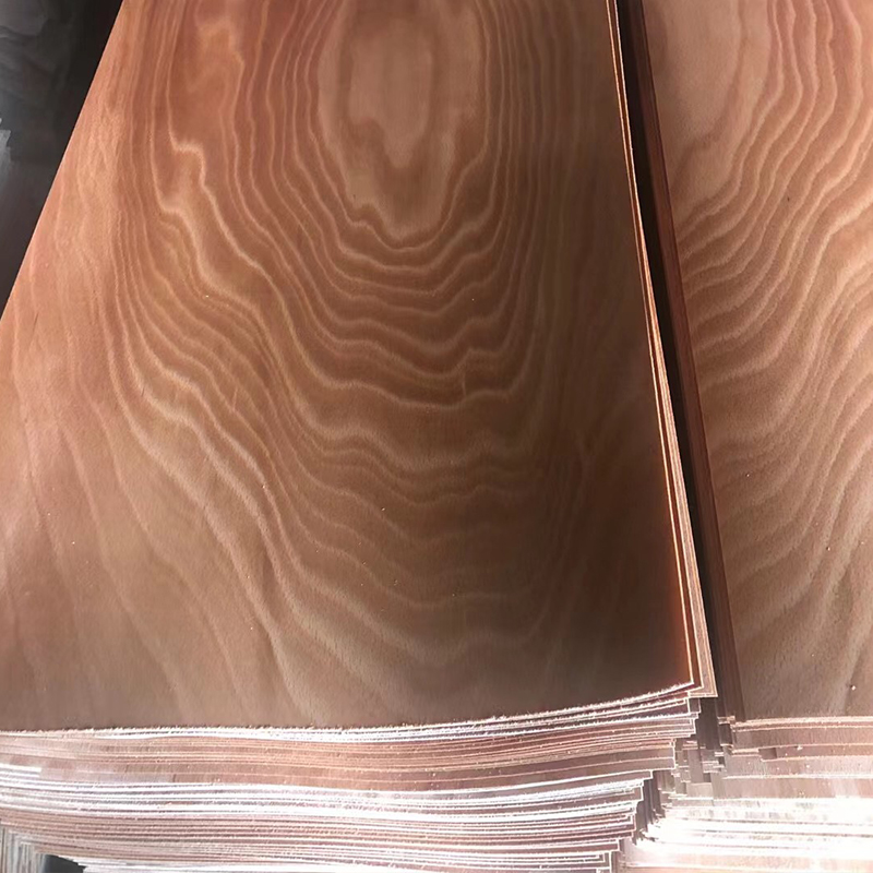 Beech veneer