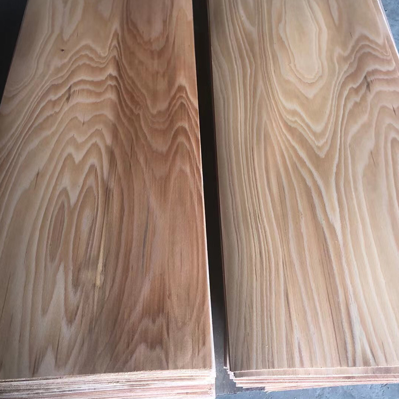 Beech veneer