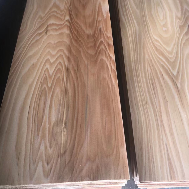 Beech veneer